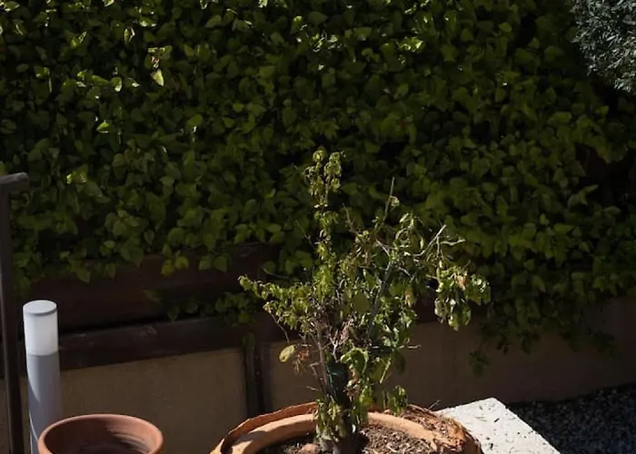 Skandinavia - Modern 3br Escape With Private Pool & Bbq